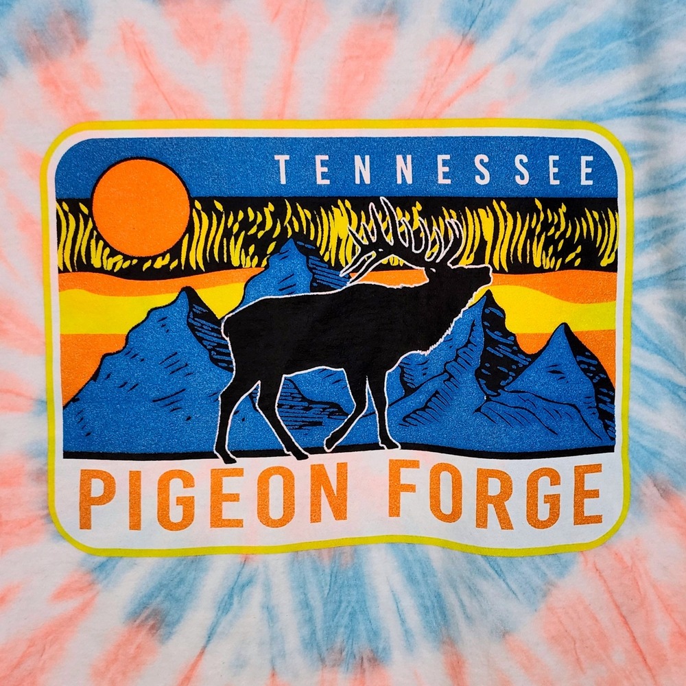 Comfort Colors Pigeon Forge Tennessee Tie Dye Graphic T-Shirt Womens Large Elk - Picture 3 of 6